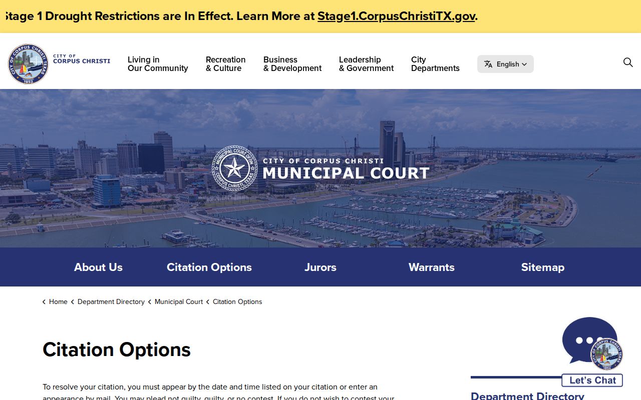 Nueces County traffic court records appearance date and plea options
