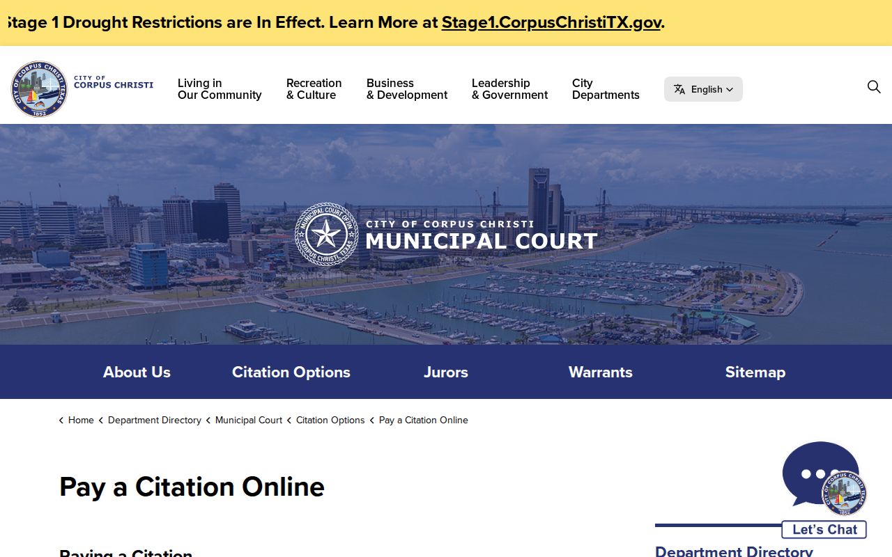 Nueces County traffic court records online payment warning